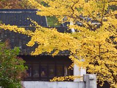 -惠山古镇·寄畅园