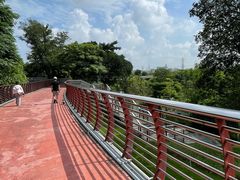 -王借岗森林公园