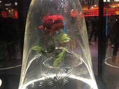 -大碗先生(株洲天虹店)