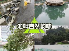 -成都市活水公园