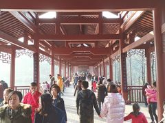 -重庆彩云湖湿地公园