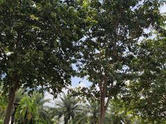 -海珠儿童公园