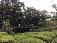 -雕刻之森美术馆