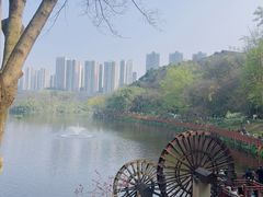 -重庆彩云湖湿地公园