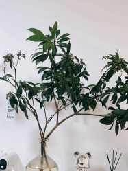 -美肤盾祛痘·问题肌头疗管理中心