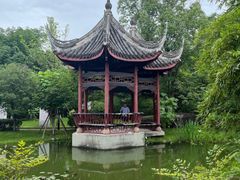 -武汉园博园(武汉自然博物馆)