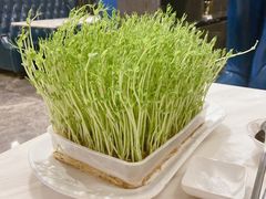 -美姿水荟美食水疗