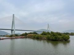 -芒洲湿地公园