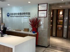 -北京派仕佳德动物医院·超导核磁·CT·神经科·骨科·内外科·急重症管理中心