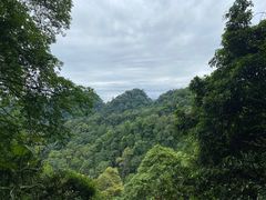 -青城山