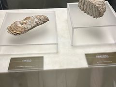 -嘉定博物馆