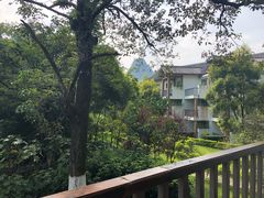 -广悦华阳朔河畔度假酒店(十里画廊遇龙河店)