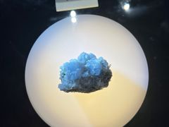 -陕西自然博物馆