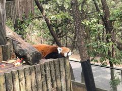 -云南野生动物园