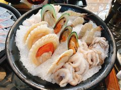 扇贝-丽江庭院之爱在路上(西单店)