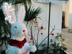 -青果巷历史文化街区