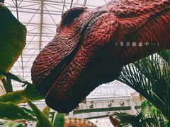 -沈阳植物园