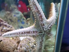 -太平洋海底世界