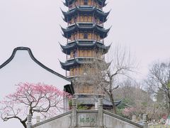 -红梅公园