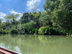 -西溪国家湿地公园