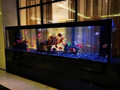 -海口绿发希尔顿酒店-田园汇自助餐·三文鱼·海鲜