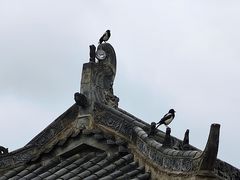 -黄河三峡风景名胜区