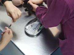 -特一安24小时宠物医院·骨科·中兽医