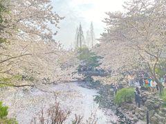 -玛格萝妮比萨屋(四平店)