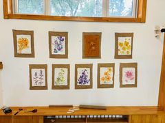 -世纪飞马幼儿园(西城校区)