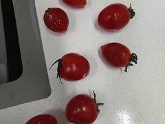 -老北京炸酱面(故宫店)