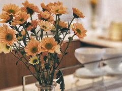 -Cafe on warm(丹霞店)