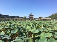 -渭南桃花源民俗文化园