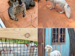 -南戴河国际娱乐中心