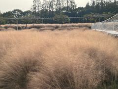 -嘉北郊野公园