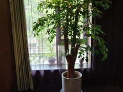 -王府茶楼茶宴·创意菜(大观园总店)