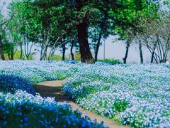 -上海辰山植物园