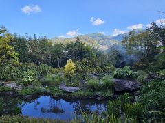 -腾冲洞山温泉村