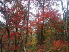 -本溪老边沟风景区
