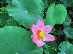 -保定东湖公园(莲池区)