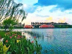 -上海长兴岛郊野公园