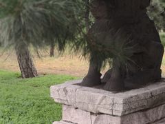 -北陵公园