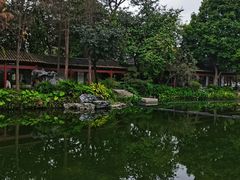 -顺峰山公园