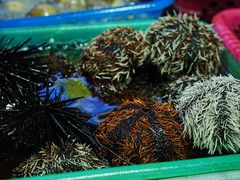 -板桥海鲜广场(文明东店)
