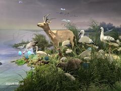 -湖南省地质博物馆