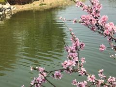 -大兴滨河森林公园