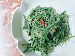 丝瓜苗尖-钱塘花园·宁波菜