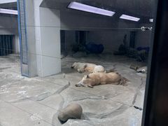 -大连圣亚海洋世界