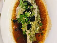 榄角新鲜黄花鱼-大友(港口店)