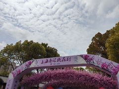 -南汇桃花村