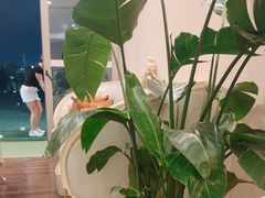 -棕榈泉国际高尔夫学院